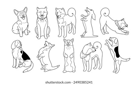 Set with 10 different breed dogs, like Shiba Inu, Beagle, Corgi and Dachshund. Hand drawn pets in line design, editable stroke. Isolated line vector illustrations on white background