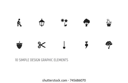 Set Of 10 Editable Planting Icons. Includes Symbols Such As South, Flowerpot, Streetlight And More. Can Be Used For Web, Mobile, UI And Infographic Design.