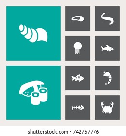 Set Of 10 Food Icons Set.Collection Of Medusa, Crustaceans, Sink And Other Elements.