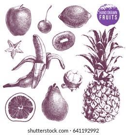 Set of 10 hand drawn juicy fruits. Monochrome vector illustration