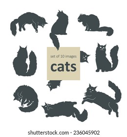 set of 10 images cats