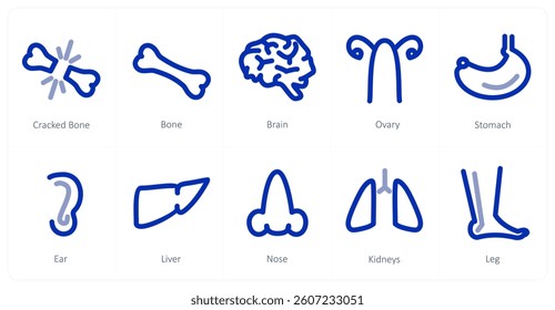 A set of 10 micro icons as cracked bone, bone, brain