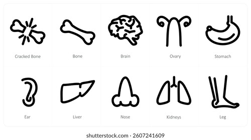 A set of 10 micro icons as cracked bone, bone, brain