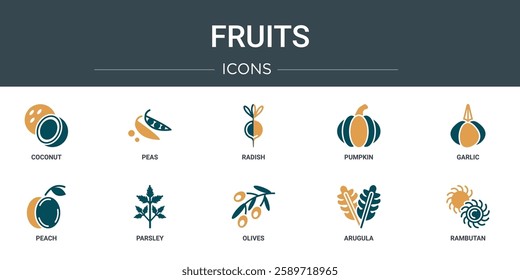 set of 10 outline web fruits icons such as coconut, peas, radish, pumpkin, garlic, peach, parsley vector icons for report, presentation, diagram, web design, mobile app