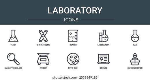 Conjunto de 10 iconos de laboratorio de Web de contorno como frasco, cromosoma, vaso de precipitados, laboratorio, laboratorio, lupa, iconos de vector de peso para informe, presentación, diagrama, Diseño web, App móvil