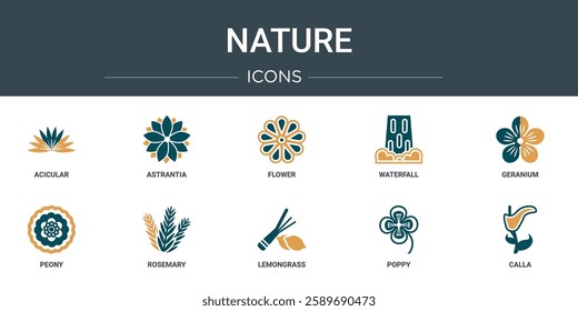 set of 10 outline web nature icons such as acicular, astrantia, flower, waterfall, geranium, peony, rosemary vector icons for report, presentation, diagram, web design, mobile app
