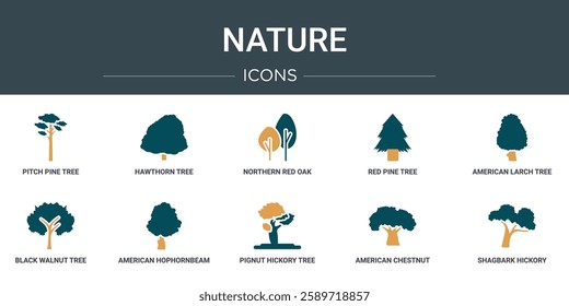 set of 10 outline web nature icons such as pitch pine tree, hawthorn tree, northern red oak tree, red pine american larch black walnut american hophornbeam vector icons for report, presentation,