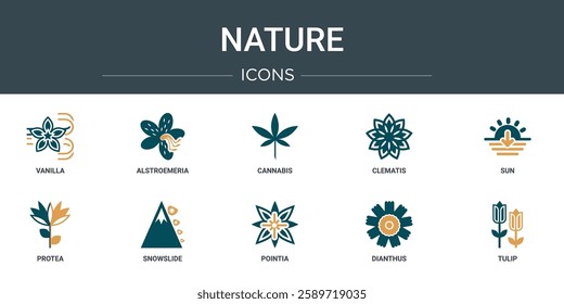 set of 10 outline web nature icons such as vanilla, alstroemeria, cannabis, clematis, sun, protea, snowslide vector icons for report, presentation, diagram, web design, mobile app