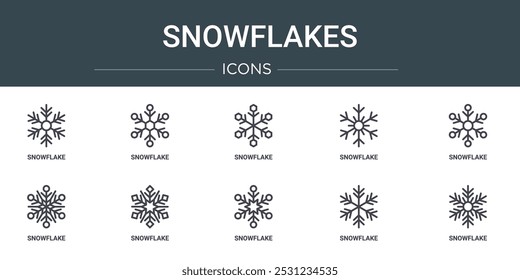 conjunto de ícones de flocos de neve da web de 10 tópicos, como floco de neve, floco de neve, floco de neve, ícones vetoriais para relatório, apresentação, diagrama, web design, aplicativo móvel