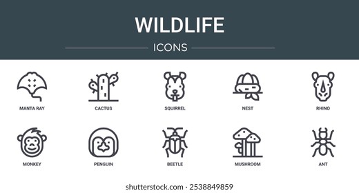 Conjunto de 10 iconos de la vida silvestre del Web del esquema como manta raya, cactus, ardilla, nido, rinoceronte, mono, pingüino iconos vectoriales para el informe, presentación, diagrama, Diseño web, App móvil