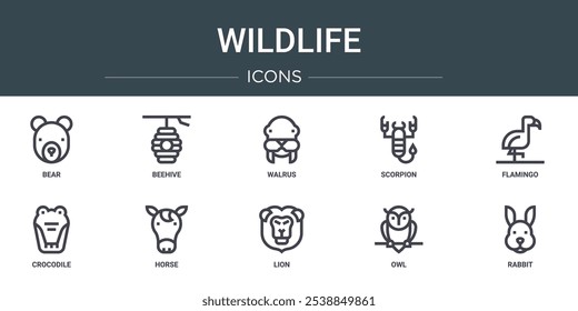 Conjunto de 10 iconos de la vida silvestre del Web del esquema tales como oso, colmena, morsa, escorpión, flamenco, cocodrilo, caballo, iconos vectoriales para el informe, presentación, diagrama, Diseño web, App móvil