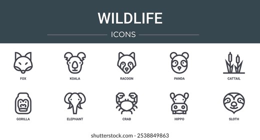 Conjunto de 10 iconos de la vida silvestre del Web del esquema tales como zorro, koala, mapache, panda, cola de gato, gorila, elefante iconos vectoriales para el informe, presentación, diagrama, Diseño web, App móvil