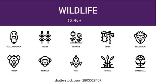 Set of 10 outline web Wildlife icons such as waterfall, grass, fish, monkey, hyena, hedgehog, vines vector icons for report, presentation, diagram, web design, mobile app