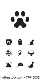Set Of 10 Pets Icons Set.Collection Of Sitting, Bird, Dog And Other Elements.