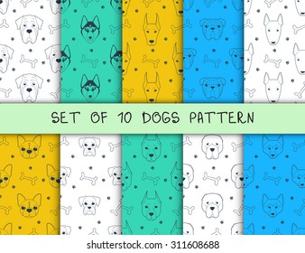 Set of 10 seamless patterns with different breeds of dogs. Bulldog and the Huskies. Pit bull and boxer. Terrier and Pug