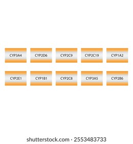 Set of 10 simple icons - Cytochrome P450 enzyme icons - CYP3A4, 2D6, 2C9 and more. Simple design illustration.