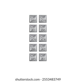 Set of 10 simple icons - Cytochrome P450 enzyme icons - CYP3A4, 2D6, 2C9 and more. Simple design illustration.
