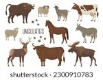 Set of 10 ungulates. Wild and domesticated animals. Cow, deer, buffalo, bull, goat, ram, sheep, donkey, elk, horse. Farm pets. Household. Vector illustration. Isolated objects on white background.