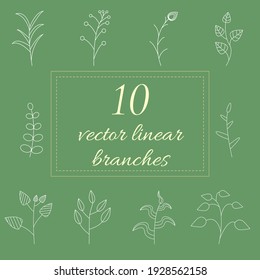 Set of 10 white linear hand drawn isolated herbs for your design. Illustration EPS 10.
