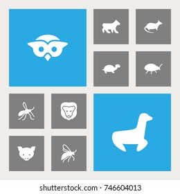 Set Of 10 Zoo Icons Set.Collection Of Tortoise, Mouse, Fly And Other Elements.