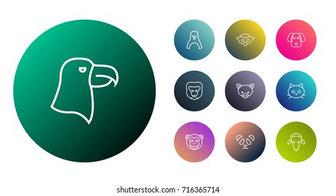 Set Of 10 Zoology Outline Icons Set.Collection Of Feline Bear, Cat, Pig And Other Elements.