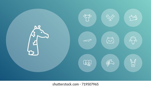 Set Of 10 Zoology Outline Icons Set.Collection Of Giraffe, Rhino, Mammal And Other Elements.