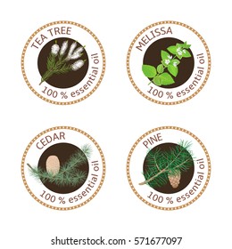 Set of 100 essential oils labels. Pine tree, Cedar, Tea tree, melissa symbols. Logo collection. Vector illustration. Brown stamps, realistic. For cosmetics, spa, health care, aromatherapy, cosmetics