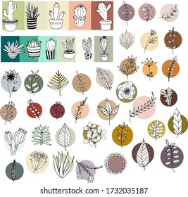 conjunto de 11 cactus en macetas y 36 plantas, hojas, flores, ramas. Cualquier color. Vector