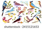 Set of 11 spring birds sitting on branches with flowers, a flat-style illustration hand-drawn, Cute stylized birds flowering branches. For the design and decor of spring greeting cards, posters