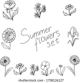 Conjunto de 11 ramas de flores de verano en blanco y negro en vector
