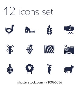 Set Of 12 Agricultural Icons Set.Collection Of Field, Grain, Lamb And Other Elements.