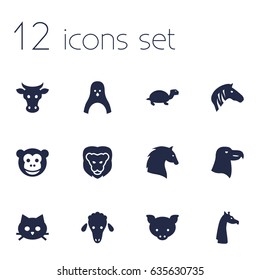 Set Of 12 Alive Icons Set.Collection Of Pussy, Tortoise, Ape And Other Elements.