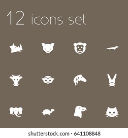 Set Of 12 Alive Icons Set.Collection Of Ape, Gecko, Aquila And Other Elements.