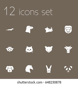 Set Of 12 Alive Icons Set.Collection Of Hog, Steed, Gecko And Other Elements.