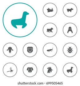 Set Of 12 Alive Icons Set.Collection Of Beetle, Polar, Lamb And Other Elements.