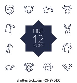 Set Of 12 Alive Outline Icons Set.Collection Of Eagle, Rabbit, Feline Bear And Other Elements.