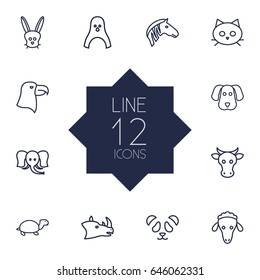 Set Of 12 Alive Outline Icons Set.Collection Of Elephant, Eagle, Rabbit And Other Elements.