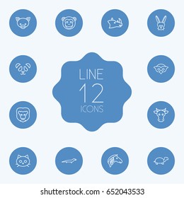 Set Of 12 Alive Outline Icons Set.Collection Of Rhino, Pig, Owl And Other Elements.