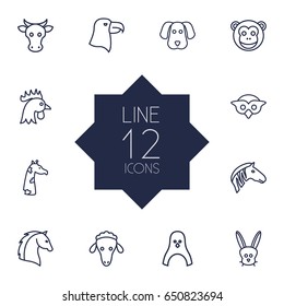 Set Of 12 Animal Outline Icons Set.Collection Of Horse, Rabbit, Cock And Other Elements.