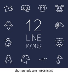Set Of 12 Animal Outline Icons Set.Collection Of Giraffe, Lion, Penguin And Other Elements.