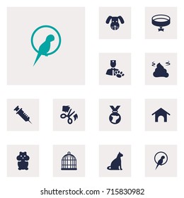 Set Of 12 Animals Icons Set.Collection Of Home , Bird , Neckband Elements.