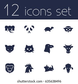 Set Of 12 Beast Icons Set.Collection Of Bear, Rhinoceros, Night Fowl And Other Elements.