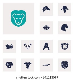 Set Of 12 Beast Icons Set.Collection Of Bear, Horse, Wildcat And Other Elements.