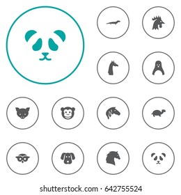Set Of 12 Beast Icons Set.Collection Of Bear, Gecko, Tortoise And Other Elements.