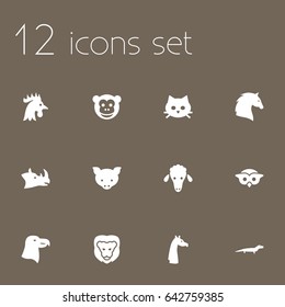 Set Of 12 Beast Icons Set.Collection Of Night Fowl, Ape, Rhinoceros And Other Elements.