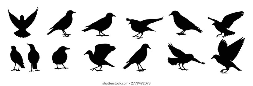 A set of 12 black bird silhouettes in different stances, showcasing various bird poses and movements on a white background.