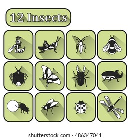 Set of 12 Black and white insects on a gray background. Logos, emblems, badges for the company, studies dealing with insects or their destruction. Vector Illustration