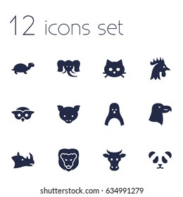 Set Of 12 Brute Icons Set.Collection Of Pussy, Kine, Rhinoceros And Other Elements.