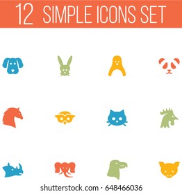 Set Of 12 Brute Icons Set.Collection Of Night Fowl, Bear, Trunked Animal And Other Elements.