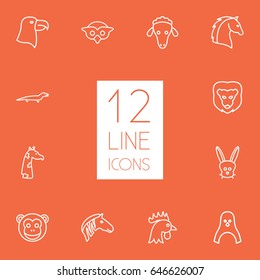 Set Of 12 Brute Outline Icons Set.Collection Of Penguin, Sheep, Cock And Other Elements.